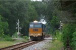 CSX GMS-1 going under the tunnel of trees